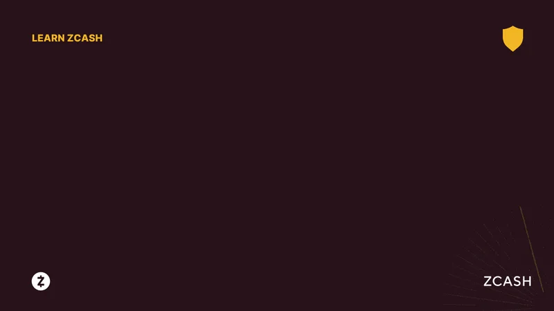 Zcash's Comeback: Price Predictions vs. Bitcoin's Dip – What Reddit is Saying